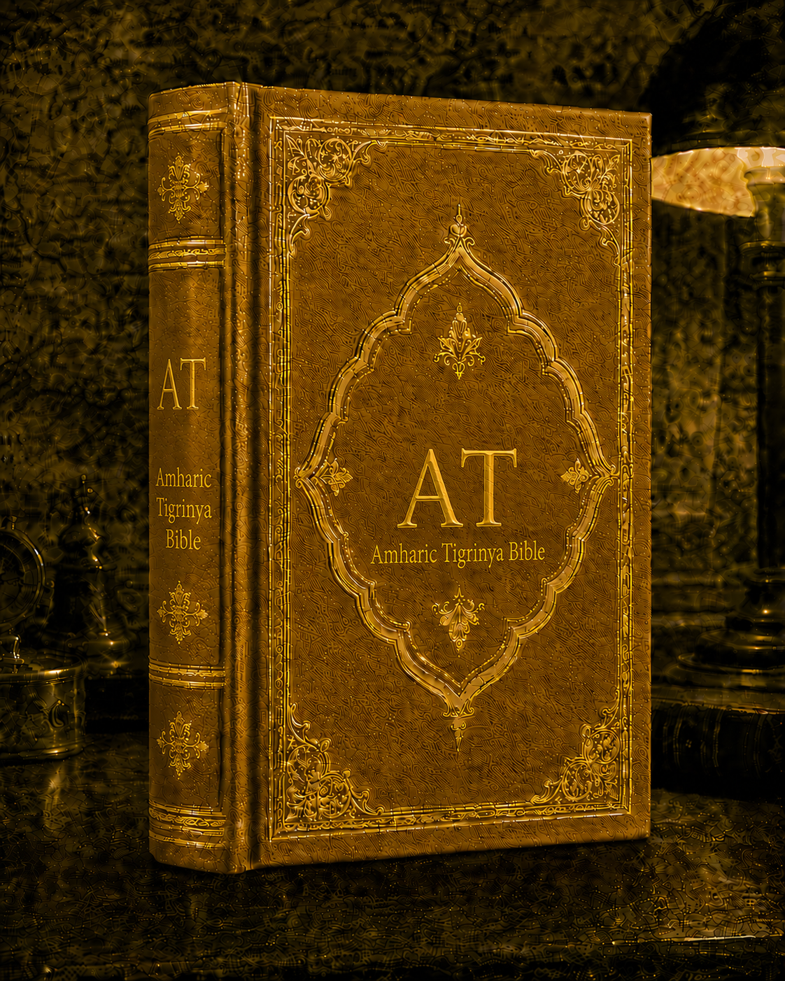 Amharic Tigrinya Bible cover